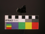 V23d4141 A16q876.3 U904 dM bl f324.jpg